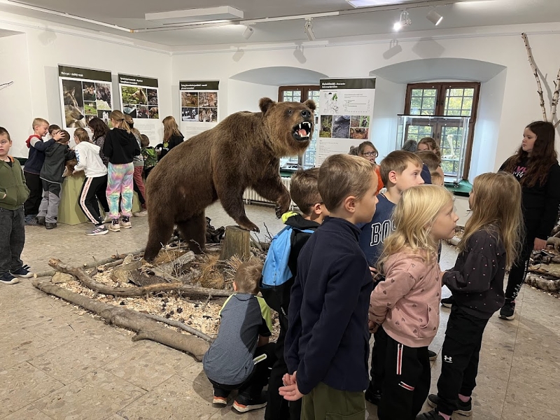 Muzeum Žďár Ryby a šelmy 2024