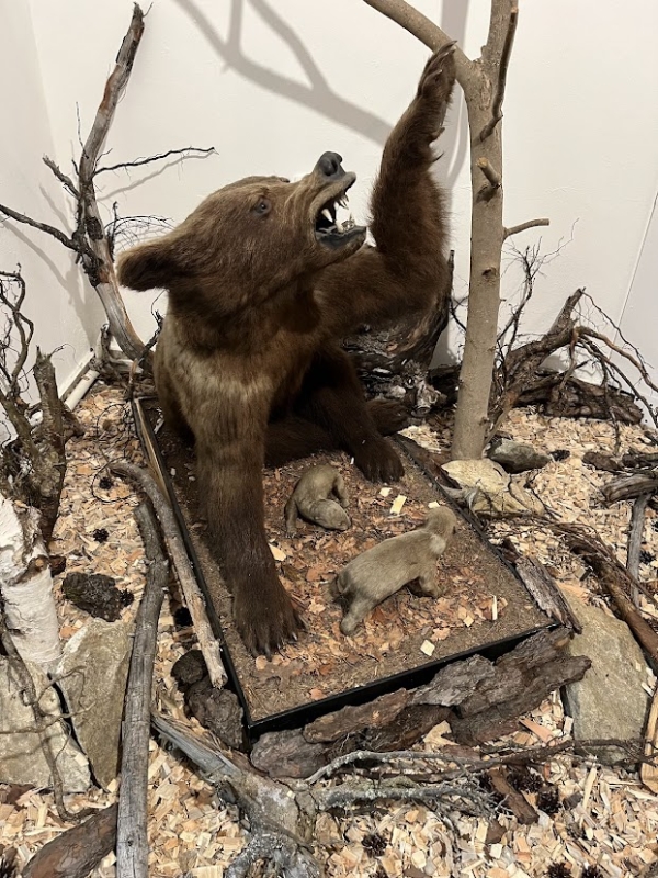 Muzeum Žďár Ryby a šelmy 2024