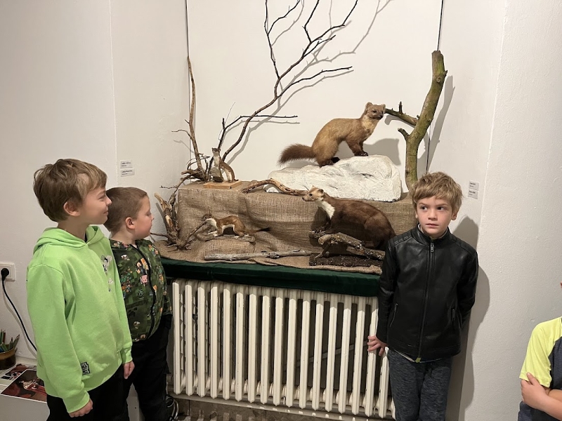 Muzeum Žďár Ryby a šelmy 2024