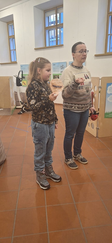 Návštěva Muzea v Poličce Svět hmyzu, Výstava betlémů