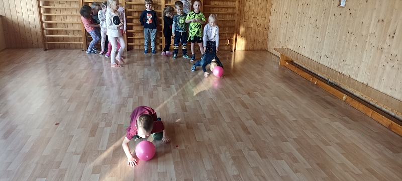 Naše zahrádka