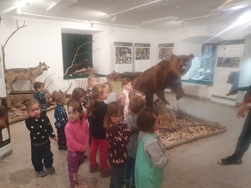 Výlet do regionálního muzea Žďár - Ryby a šelmy