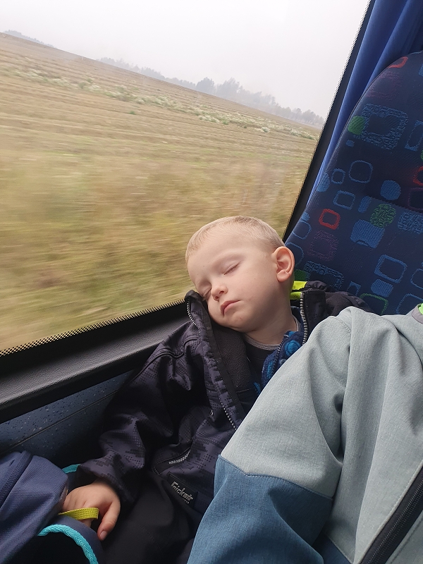 Výlet do regionálního muzea Žďár - Ryby a šelmy