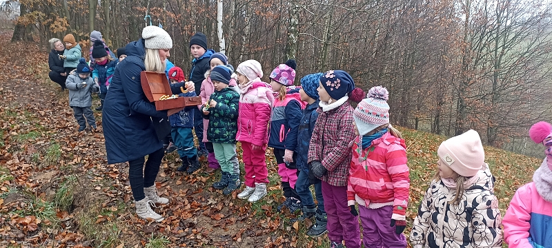 Na svatého Martina, po stopách svatého Martina