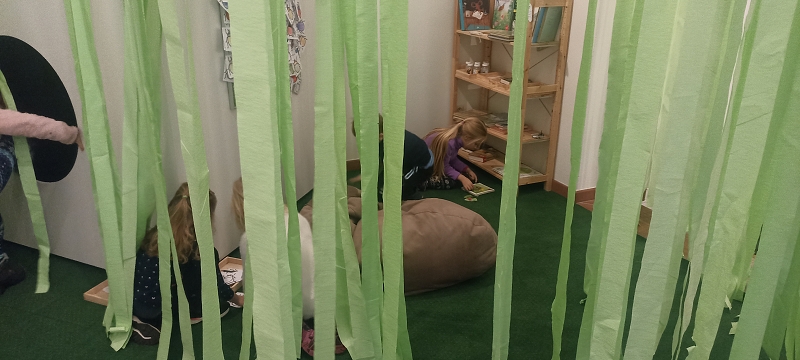 Návštěva Muzea v Poličce Svět hmyzu