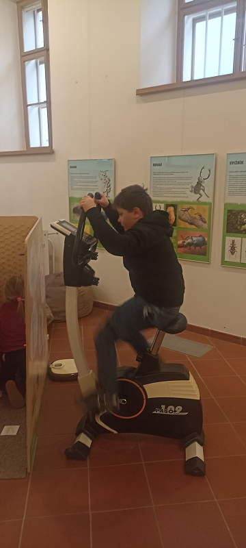 Návštěva Muzea v Poličce Svět hmyzu