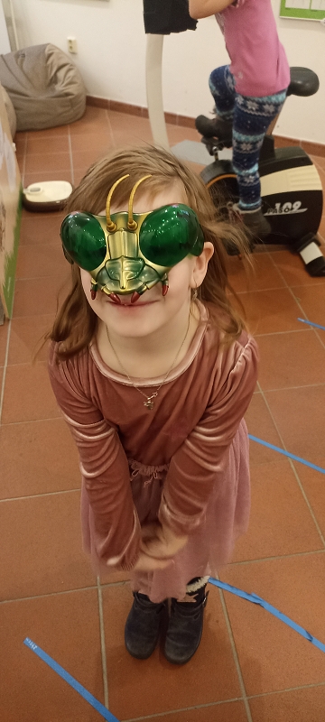 Návštěva Muzea v Poličce Svět hmyzu