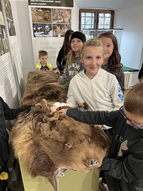 Muzeum Žďár Ryby a šelmy 2024