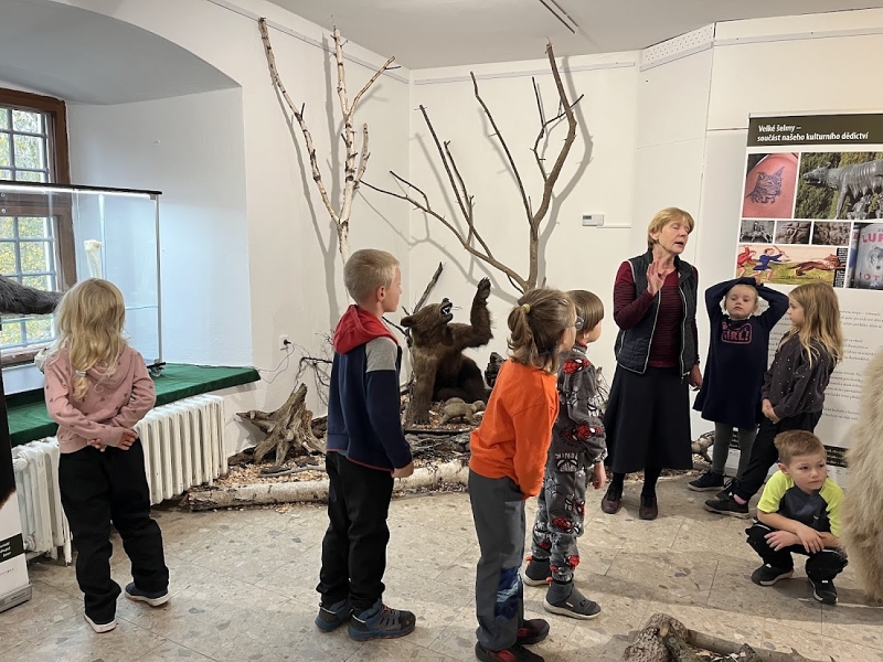 Muzeum Žďár Ryby a šelmy 2024