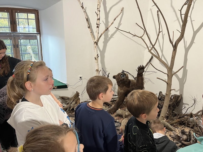 Muzeum Žďár Ryby a šelmy 2024
