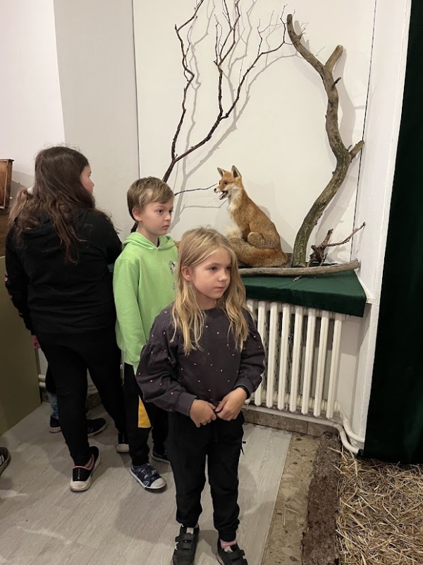 Muzeum Žďár Ryby a šelmy 2024