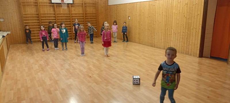 Ptáci a zvířátka v zimě
