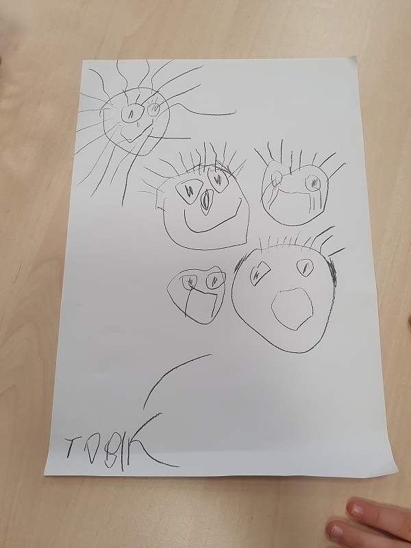 Krtek a zdraví (emoce, smysly a lidské tělo)