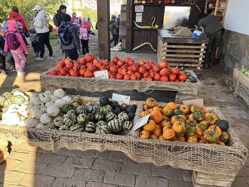 Dýňový svět u Golčova Jeníkova
