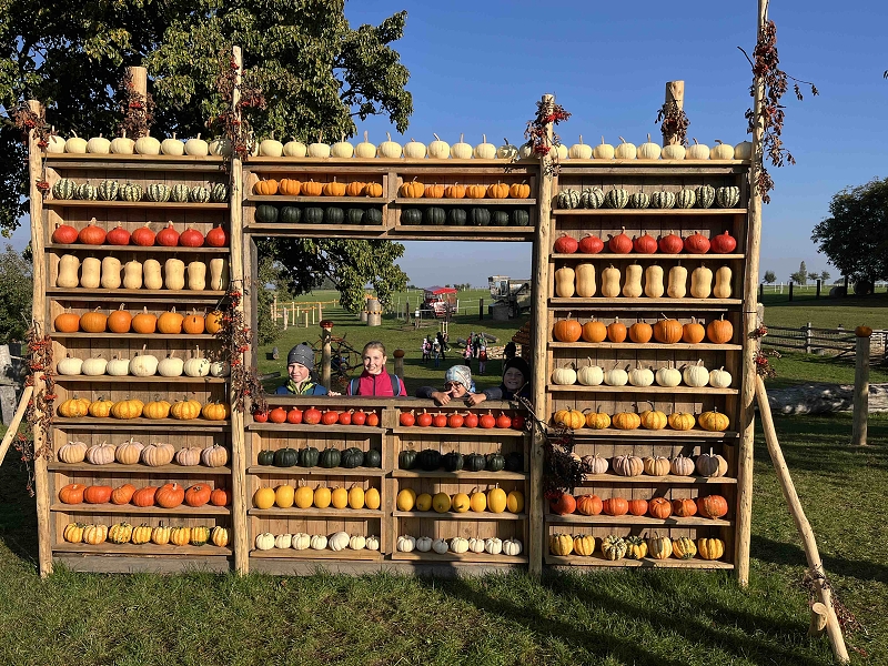 Dýňový svět u Golčova Jeníkova