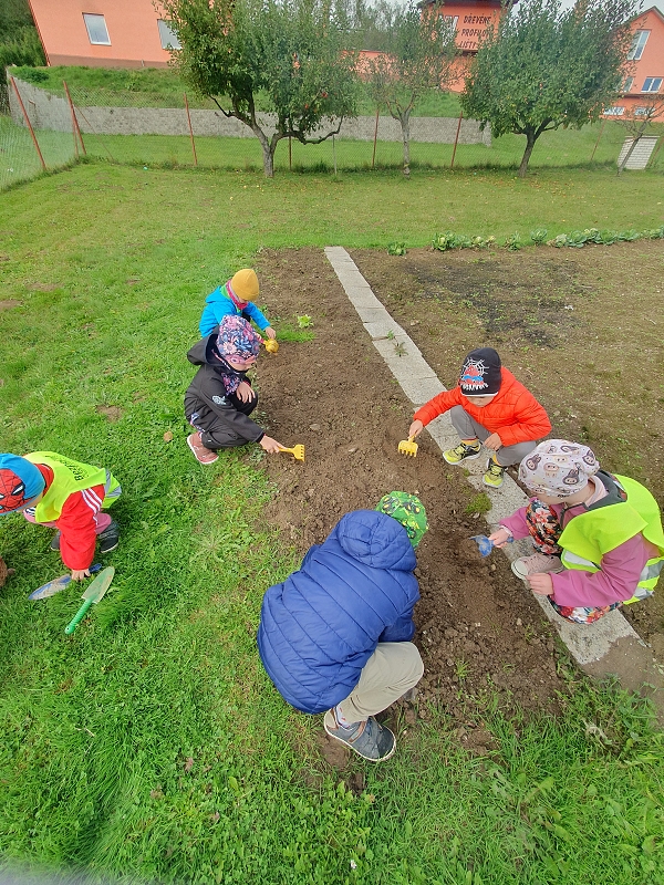 Na poli + třídní bramboriáda