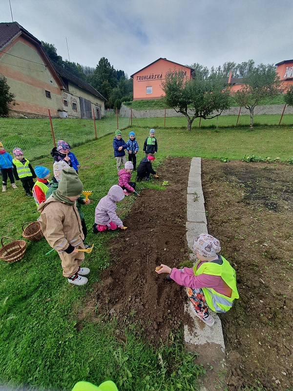 Na poli + třídní bramboriáda