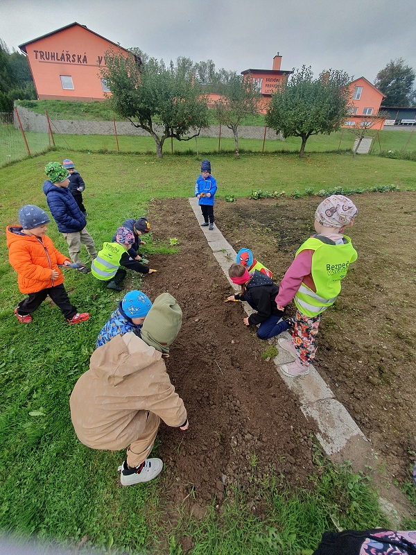 Na poli + třídní bramboriáda