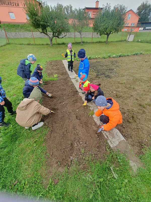 Na poli + třídní bramboriáda