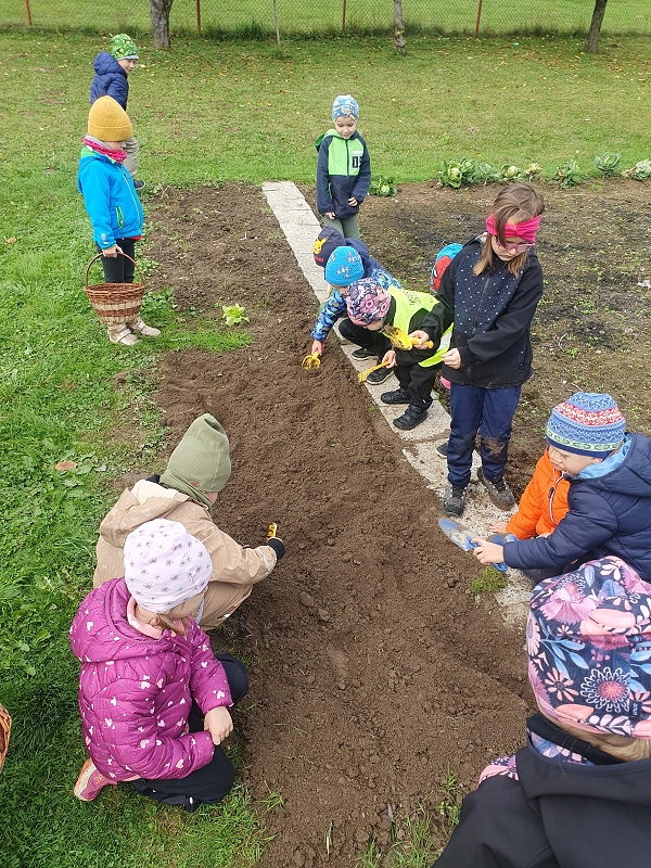 Na poli + třídní bramboriáda