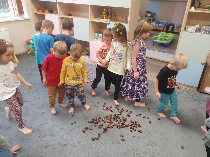 Na poli + třídní bramboriáda