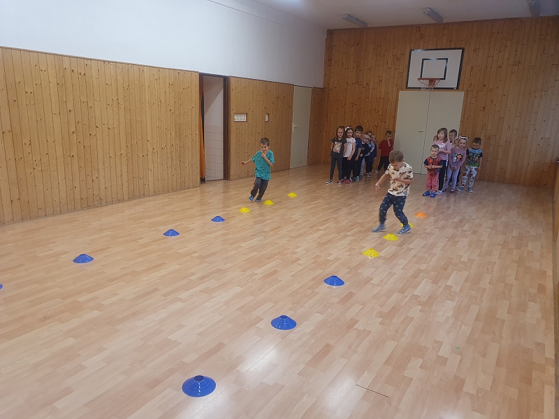 Na poli + třídní bramboriáda