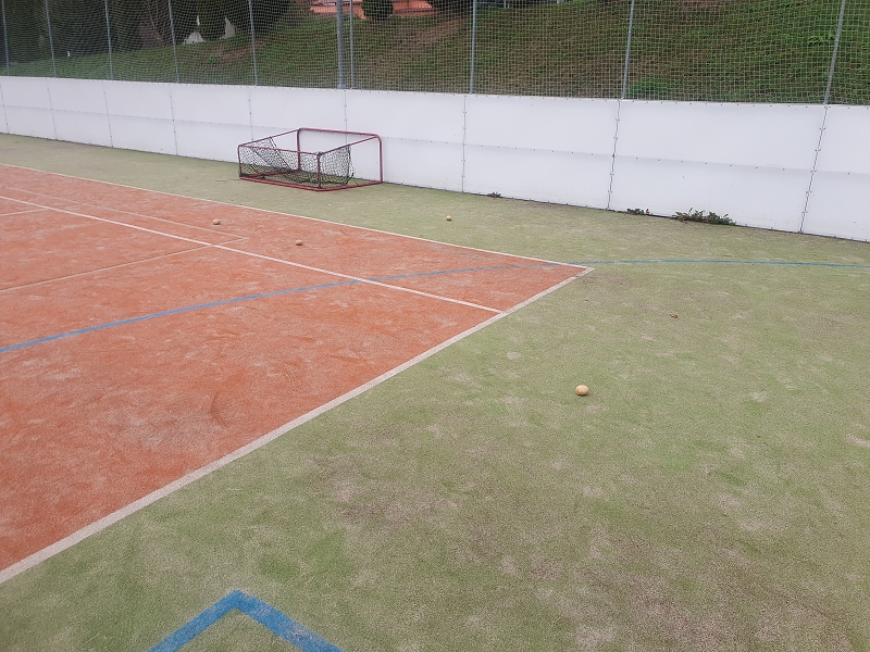 Na poli + třídní bramboriáda