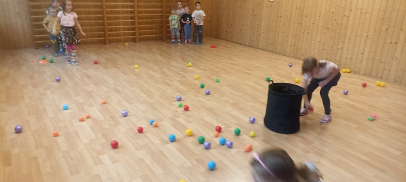 Uspávání zvířátek na zimu