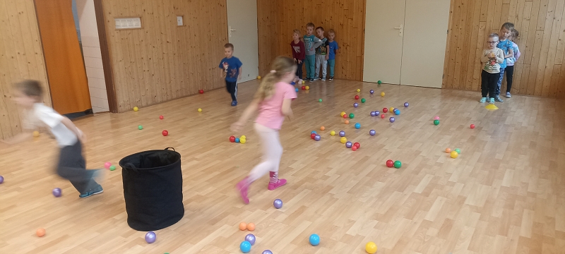 Uspávání zvířátek na zimu