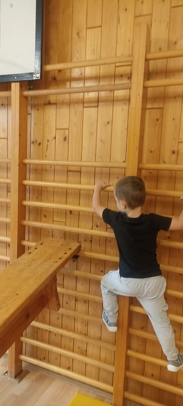 Uspávání zvířátek na zimu