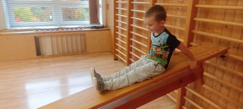 Uspávání zvířátek na zimu