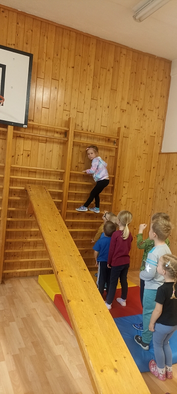 Uspávání zvířátek na zimu