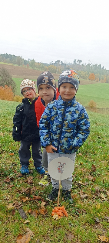 Uspávání zvířátek na zimu