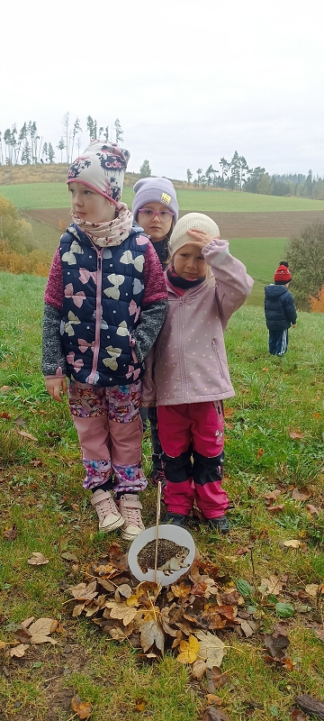 Uspávání zvířátek na zimu