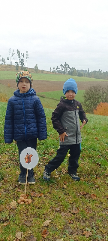 Uspávání zvířátek na zimu