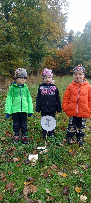 Uspávání zvířátek na zimu