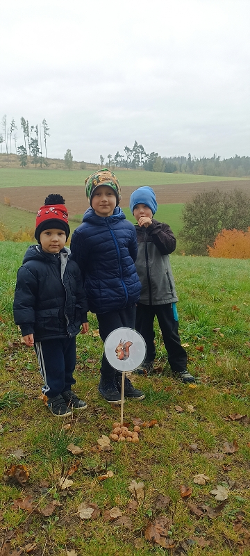 Uspávání zvířátek na zimu