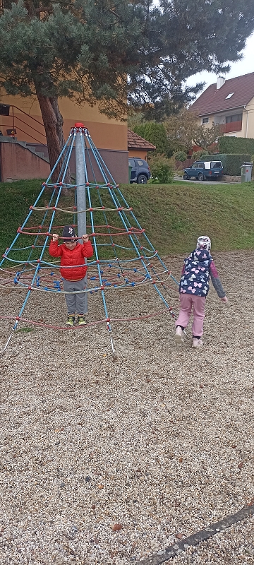 Uspávání zvířátek na zimu