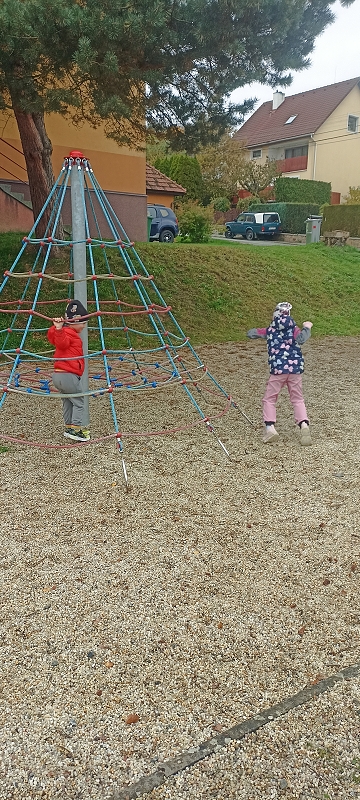 Uspávání zvířátek na zimu