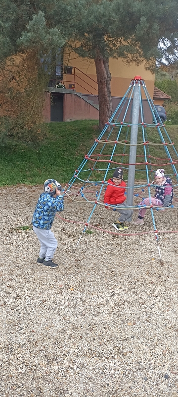 Uspávání zvířátek na zimu