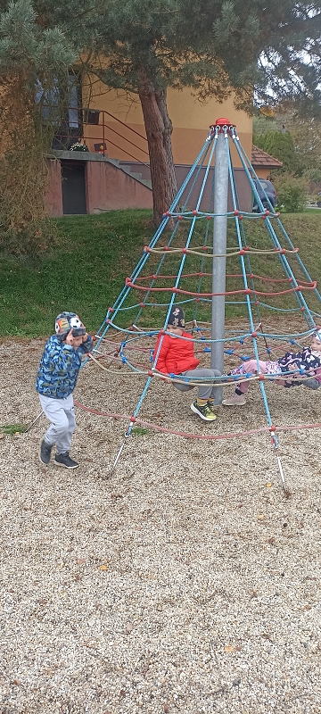 Uspávání zvířátek na zimu