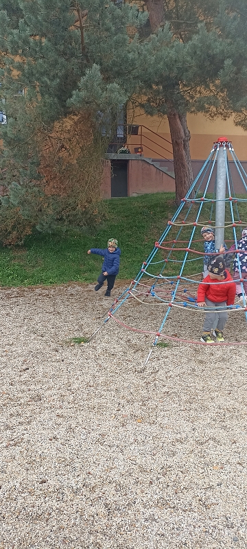 Uspávání zvířátek na zimu