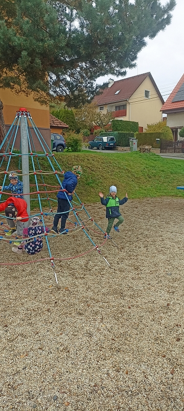 Uspávání zvířátek na zimu