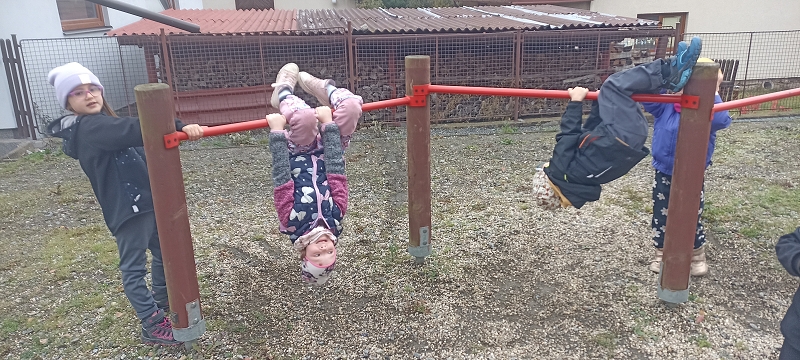 Uspávání zvířátek na zimu