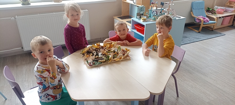 Uspávání zvířátek na zimu