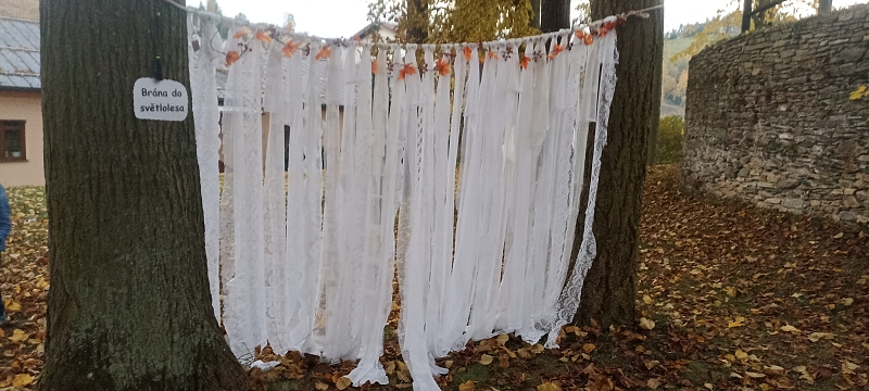 Uspávání zvířátek na zimu