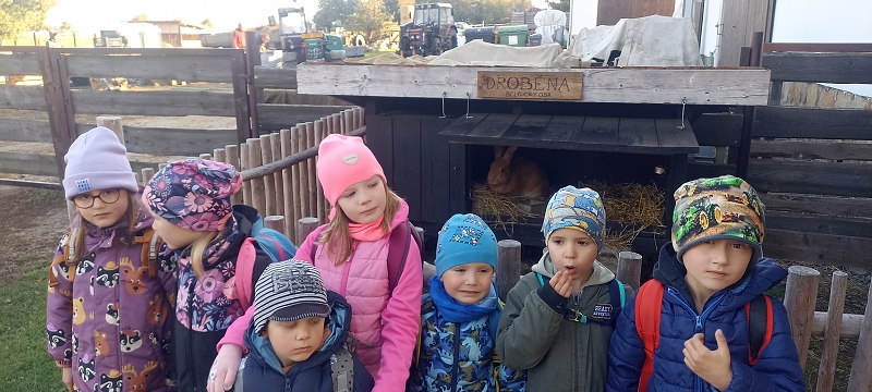 Dýňový svět u Golčova Jeníkova