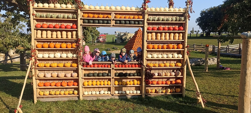 Dýňový svět u Golčova Jeníkova