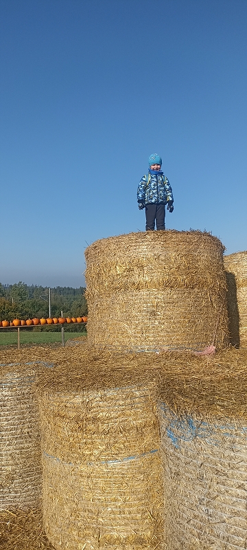 Dýňový svět u Golčova Jeníkova