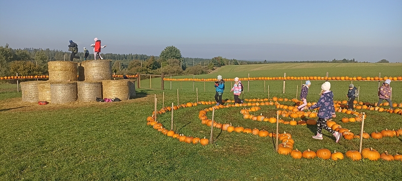 Dýňový svět u Golčova Jeníkova